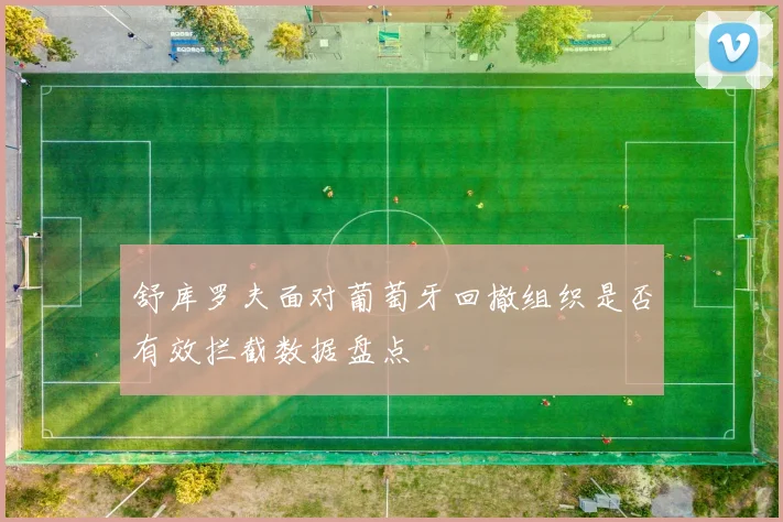 舒库罗夫面对葡萄牙回撤组织是否有效拦截数据盘点