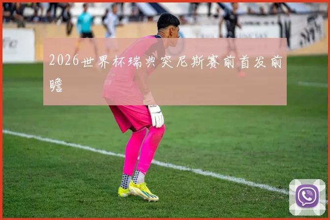 2026世界杯瑞典突尼斯赛前首发前瞻