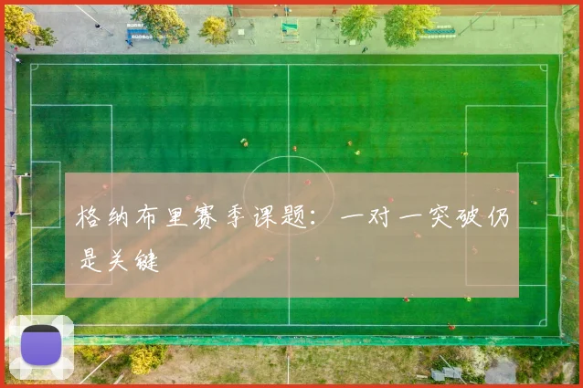 格纳布里赛季课题：一对一突破仍是关键