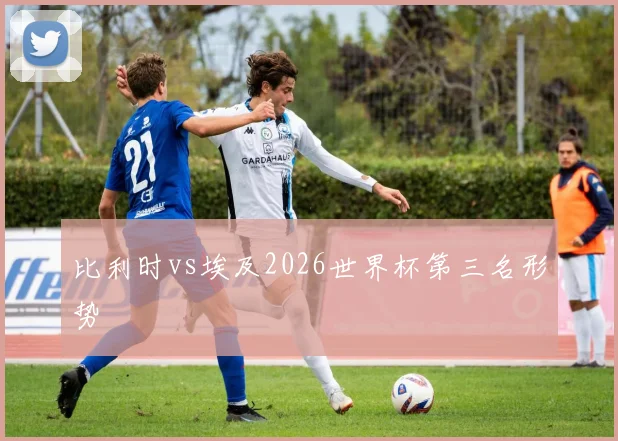 比利时vs埃及2026世界杯第三名形势